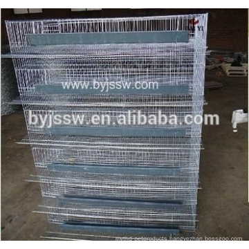 UAE Quail Farm Poultry Cages for Quails